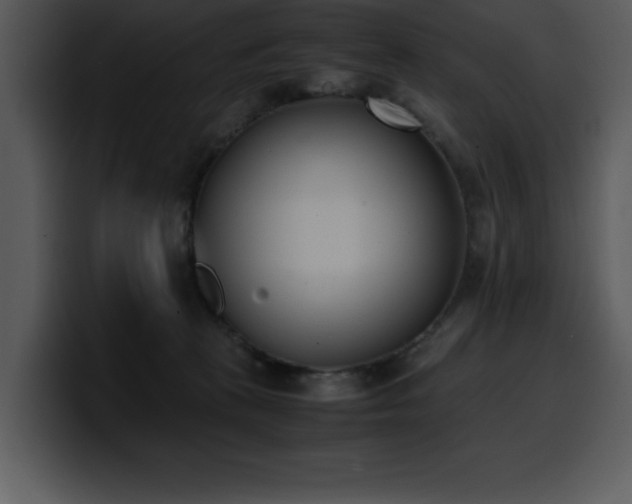 X0000100770273200806191247