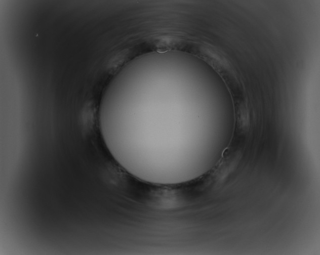 X0000100770276200806191247