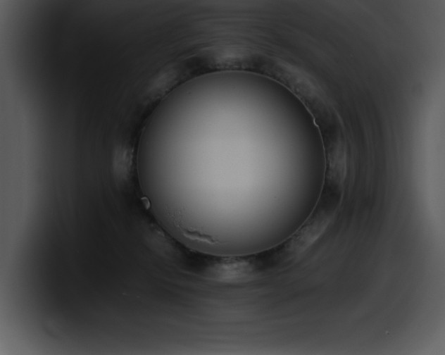 X0000100770278200806191247