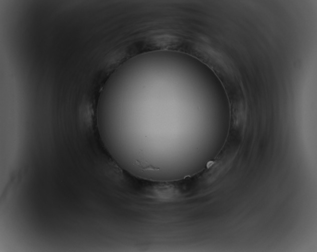 X0000100770279200806191247
