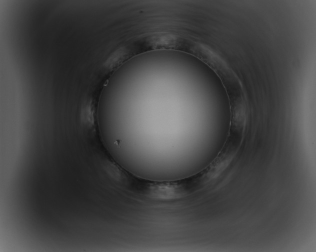 X0000100770282200806191247