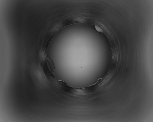 X0000100770285200806191247