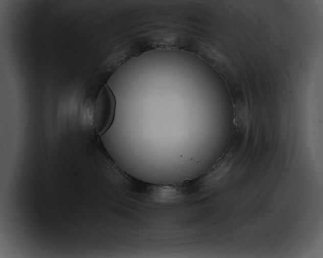 X0000100770287200806191248