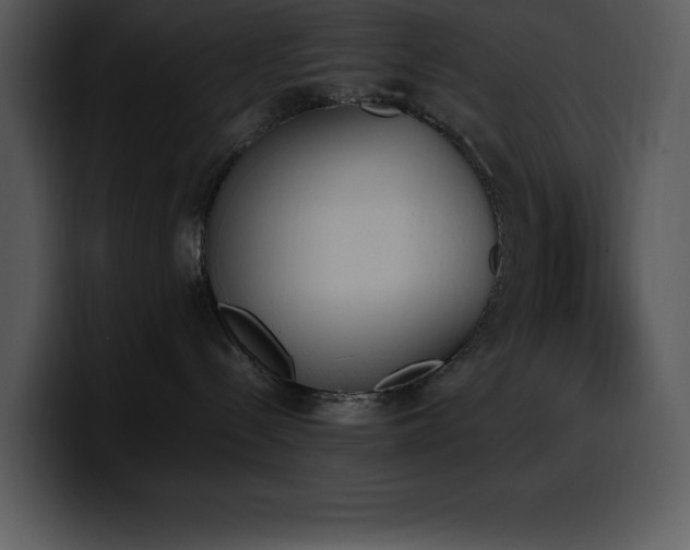X0000100770288200806191248