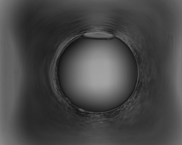 X0000100770289200806191247