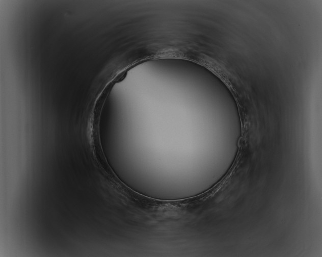 X0000100770290200806191247