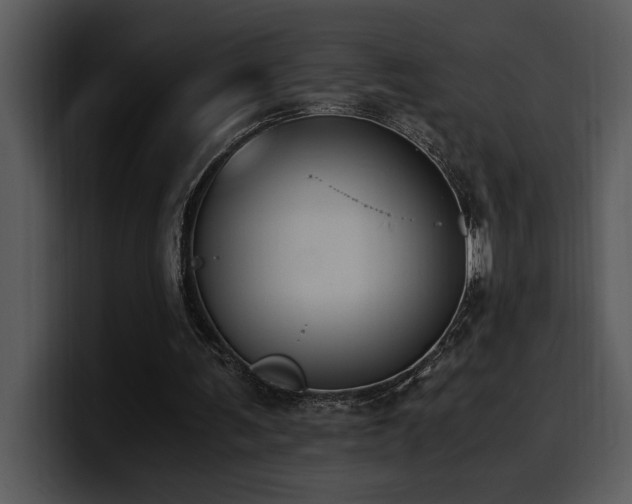 X0000100770291200806191247