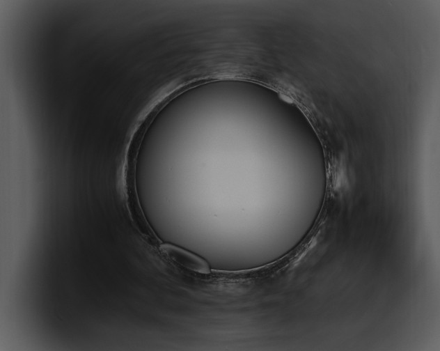 X0000100770292200806191247