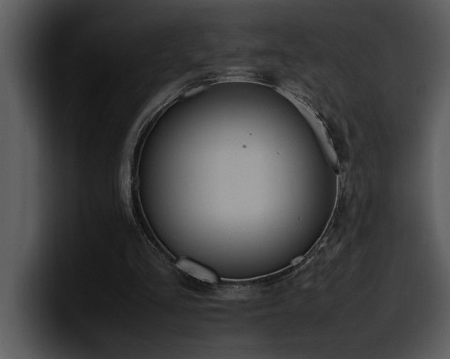 X0000100770293200806191247