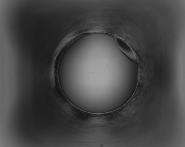 X0000100770296200806191247