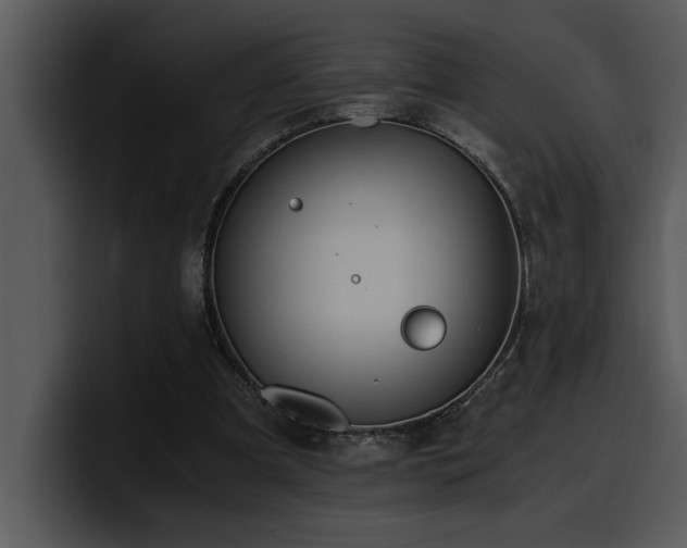 X0000100770297200806191247