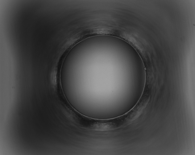 X0000100770299200806191247