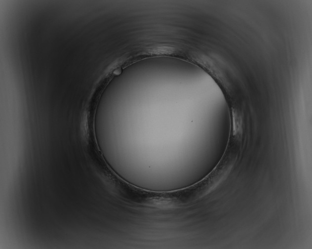 X0000100770300200806191247