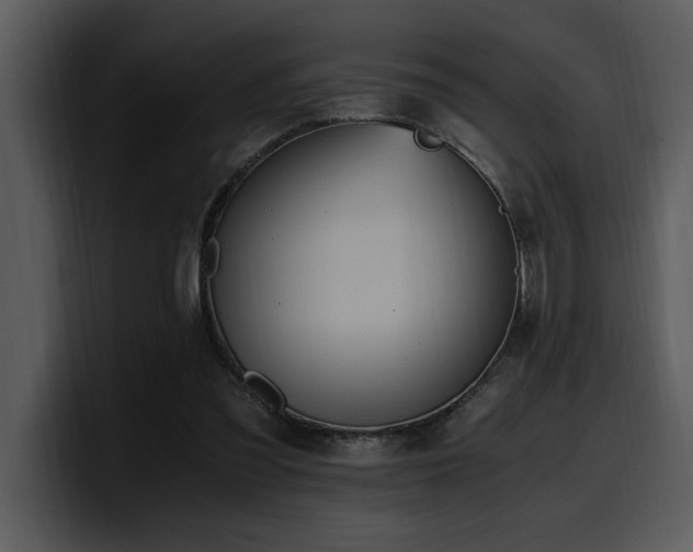 X0000100770301200806191247