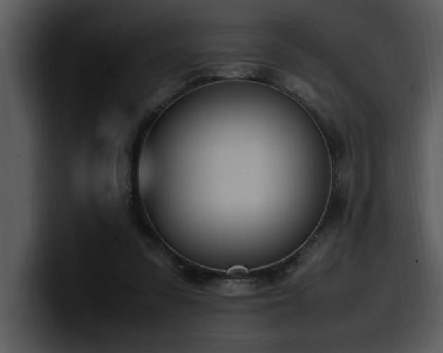 X0000100770303200806191247