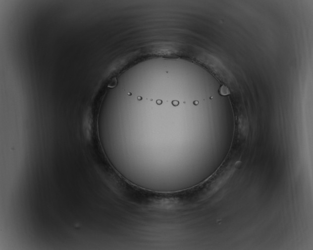X0000100770304200806191247