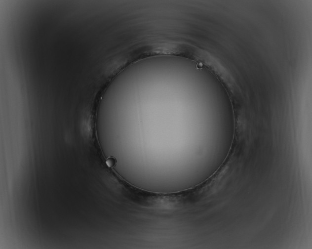 X0000100770305200806191247
