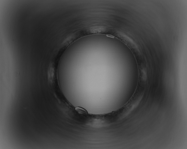 X0000100770308200806191247