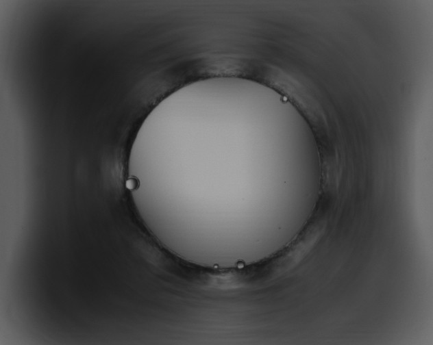 X0000100770309200806191247