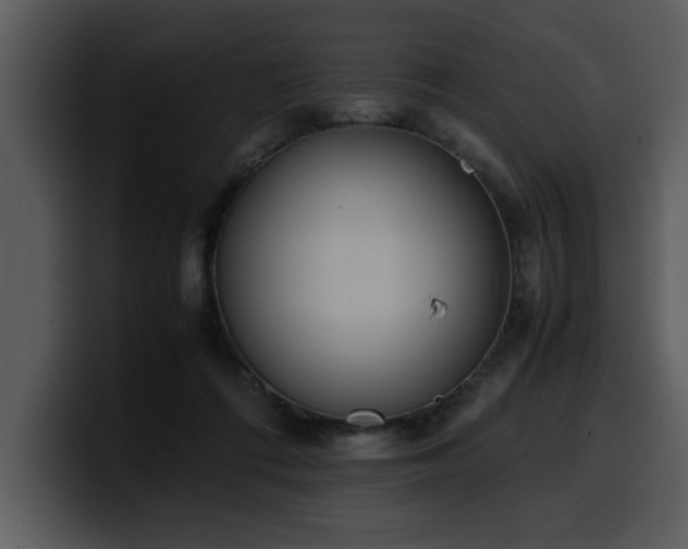 X0000100770312200806191247
