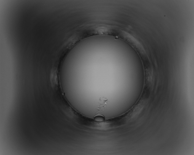 X0000100770313200806191247