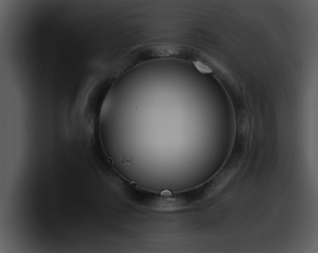 X0000100770315200806191247