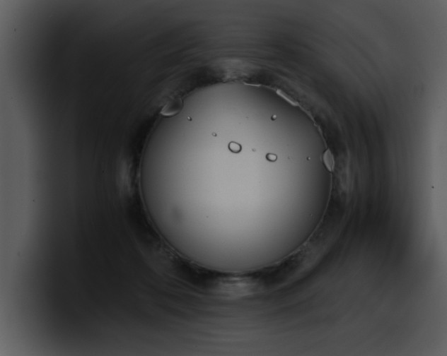 X0000100770316200806191247