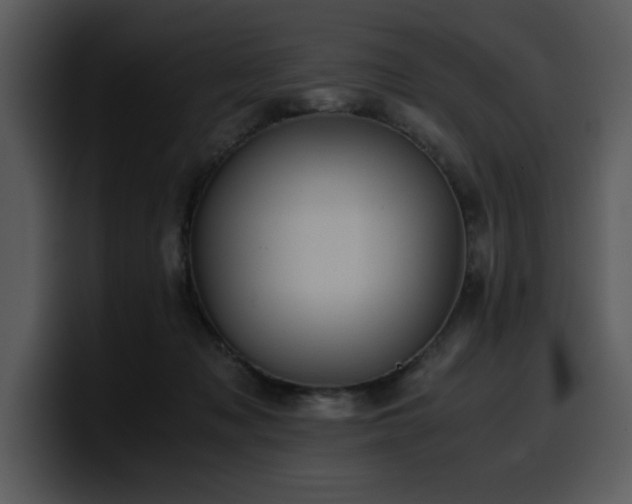 X0000100770317200806191246