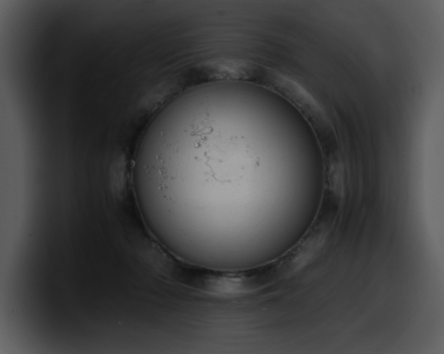 X0000100770318200806191246