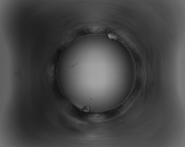 X0000100770319200806191246