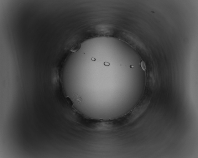 X0000100770320200806191246