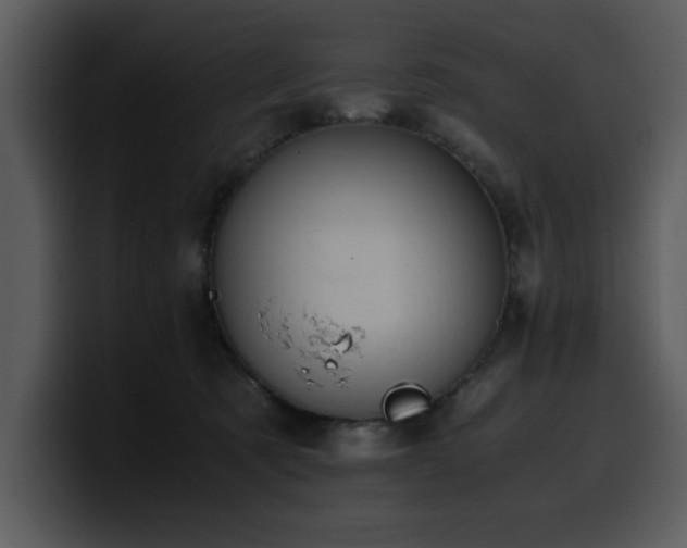X0000100770321200806191246