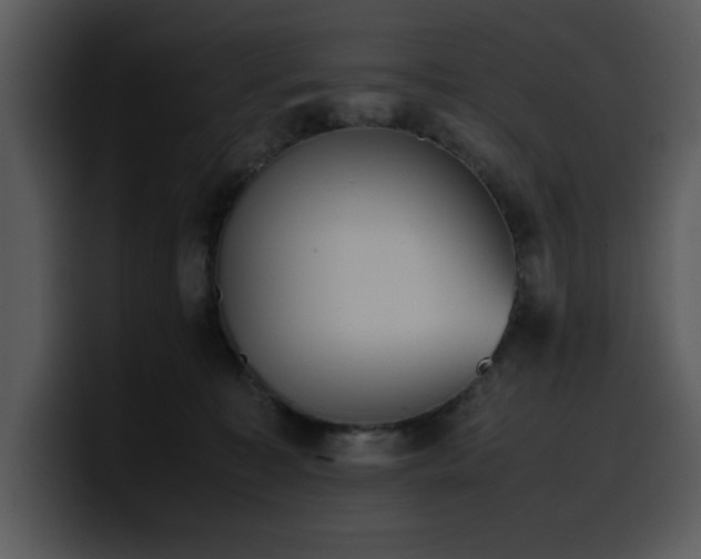 X0000100770323200806191246