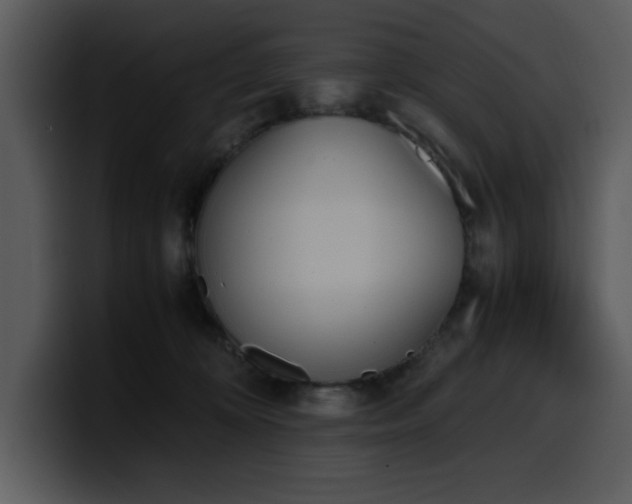 X0000100770324200806191246