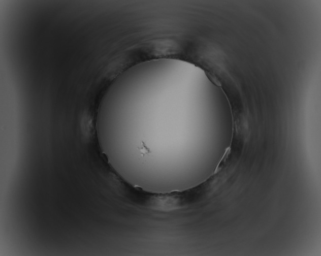 X0000100770327200806191246