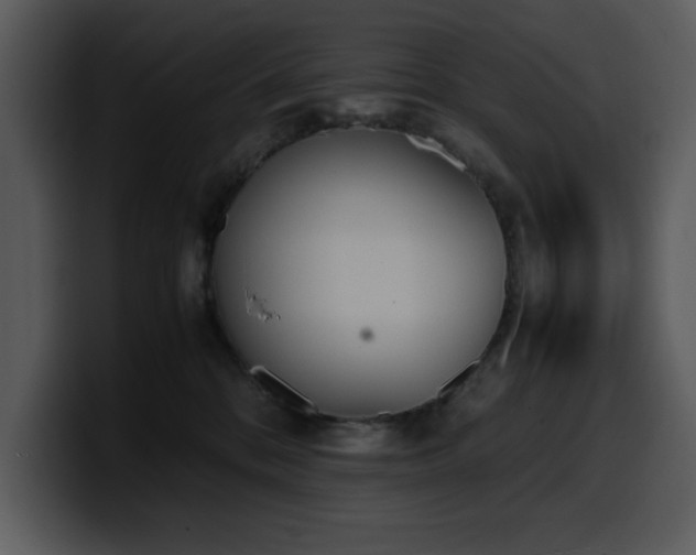X0000100770328200806191246