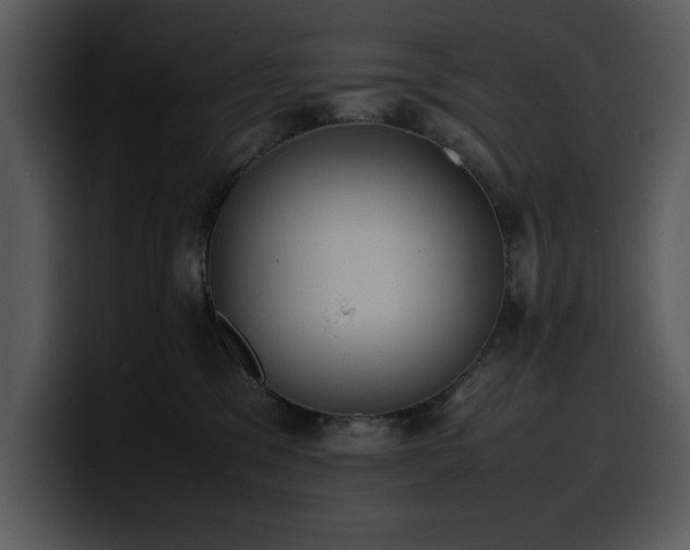 X0000100770329200806191246