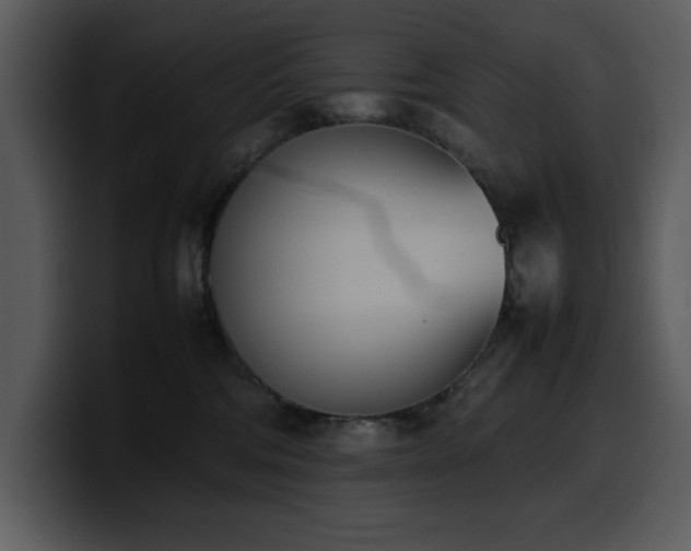 X0000100770330200806191246