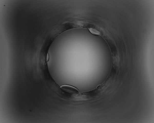 X0000100770331200806191246