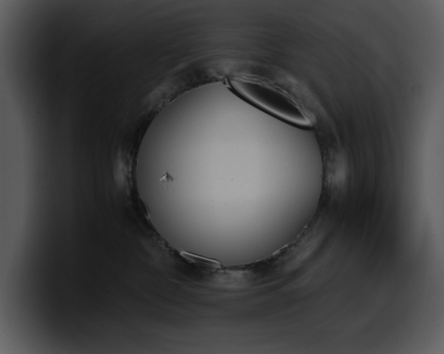 X0000100770332200806191246