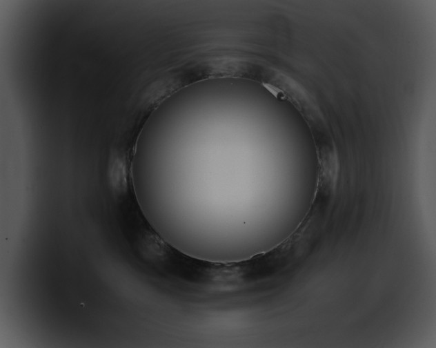 X0000100770333200806191246