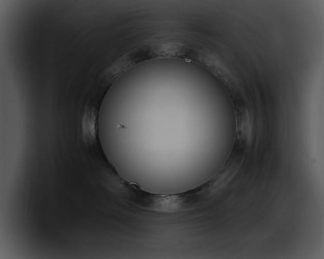 X0000100770334200806191246