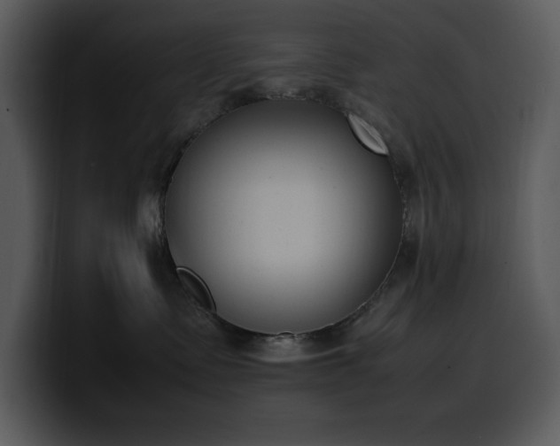 X0000100770335200806191246