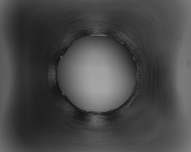 X0000100770336200806191246