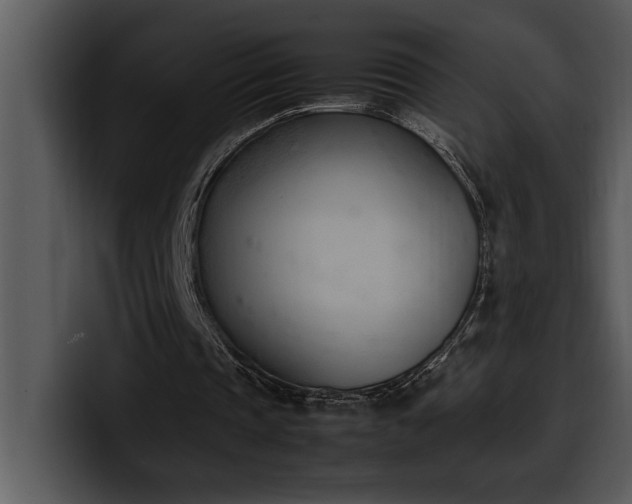 X0000100770337200806191246