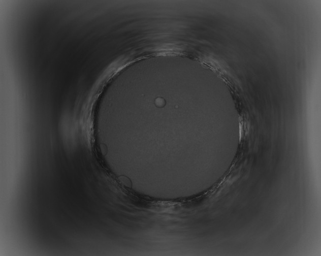 X0000100770339200806191246