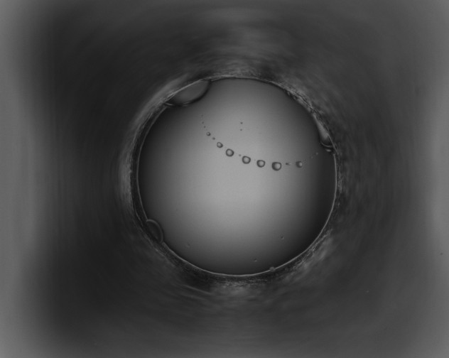 X0000100770341200806191246