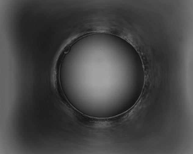 X0000100770342200806191246