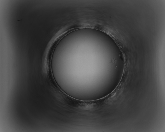 X0000100770343200806191246