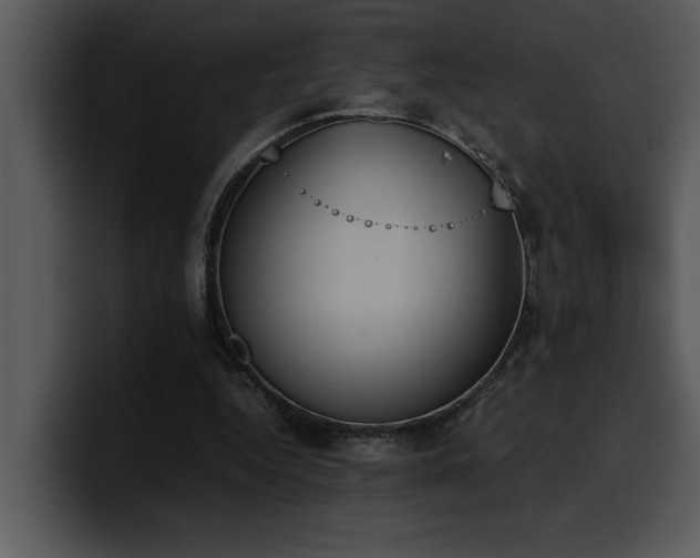 X0000100770344200806191246